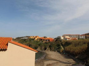 Appartement Collioure, 2 pièces, 4 personnes - FR-1-309-314